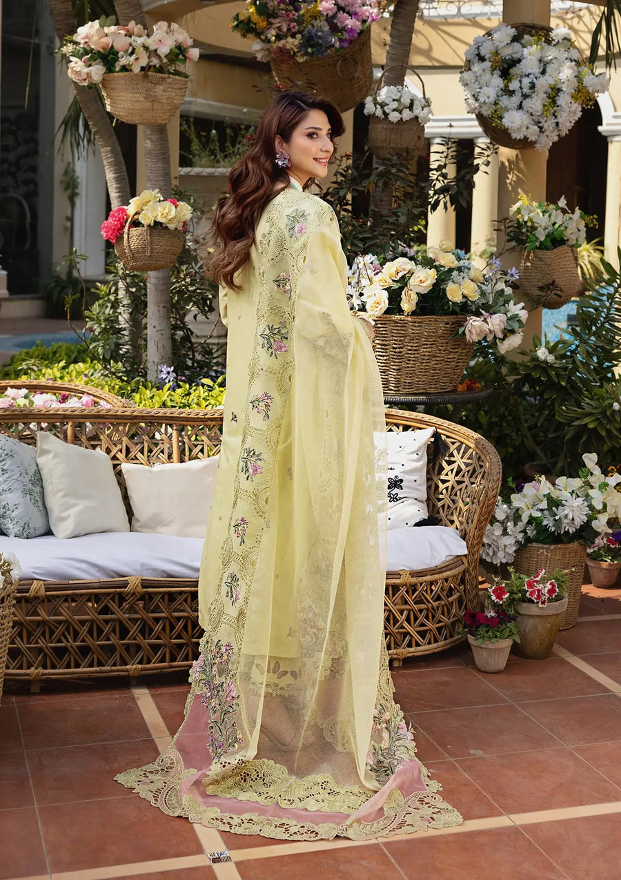 3 Piece - Embroidered Lawn Suit